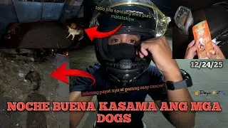 Noche Buena with Stray dogs (12/24/25)