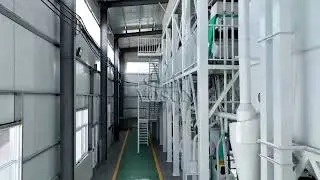 100 TPD Maize Flour Milling Line from China | Voson Grain Engineering Machinery