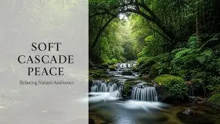 Relaxing Forest Ambience with Green Stream Flow for Sleep Meditation Stress Relief and Calm Focus