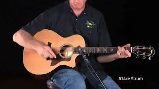 Taylor Guitars 