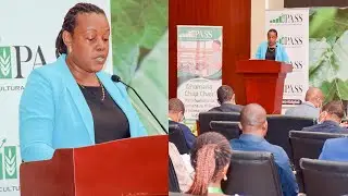 The Royal Denmark Embassy Speech at the Launch of Digital Credit Guarantee