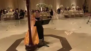 Beautiful reception playing harp musical instruments ☺️💕