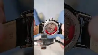 Aviator Douglas Day-Date Polish Limited Edition V.3.35.0.281.4-PL &bull; Zegarek męski