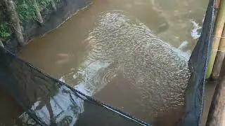 RUTINITAS KITA PAGI HARI SEBELUM BERANGKAT KERJA
