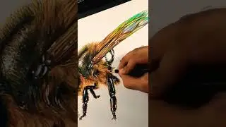 3D drawing | Honey bee #drawing #3dart #art #artartist #artist #bee #honey  #painting #howtodraw