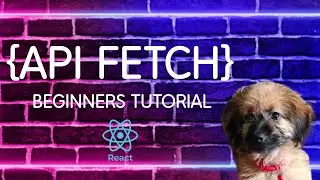 REACT JS   BEGINNER API FETCHING USING AXIOS