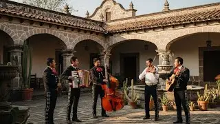 🪗 Polkas Para Bailar | Sonido Norteño Auténtico