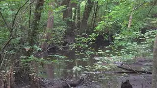 A river in Sumter, according to a report, has the highest amount of forever chemicals across 19 tes