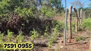 Se vende  2 lotes de 10×20 en la unión el salvador 