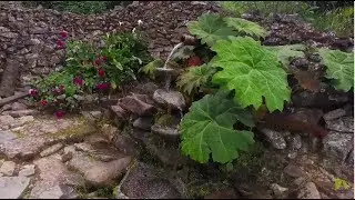 Santa Rosa de Osos: Agua sagrada sobre piedra | Antioquia Asombrosa