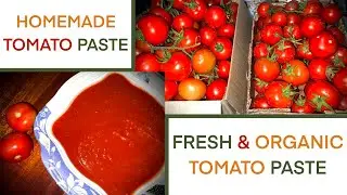 HOW TO MAKE HOMEMADE ORGANIC TOMATO PASTE | FRESH & ORGANIC TOMATO PASTE | EASY TOMATO PASTE RECIPE