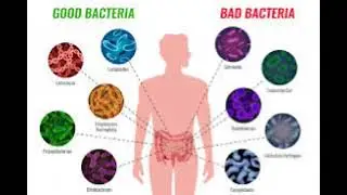All diseases Root Causes and cure and tests (English)
