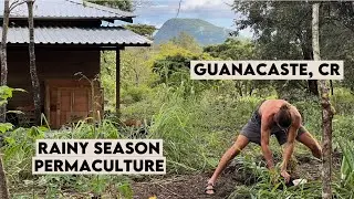 Year 3 Permaculture Homestead Walkthrough - Entering the Rainy Season | Guanacaste, Costa Rica
