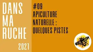 Apiculture naturelle : quelques pistes