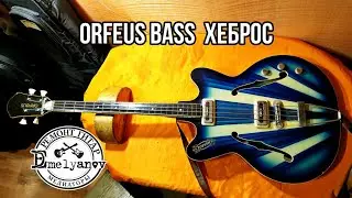 Orfeus bass  Хеброс на диагностике у DEmelyanov