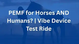 PEMF for Horses AND Humans? | Vibe Device Test Ride