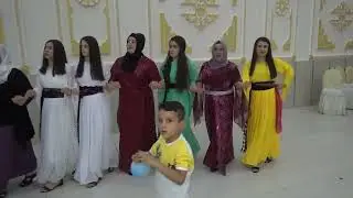 zelan kına