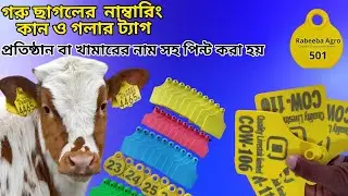 cow ear tag in bangladesh