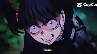 #Shinobukocho #kny #DemonSlayer 
