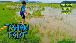 #EP888 Tahan Taut Haruan Selepas Hujan Lebat