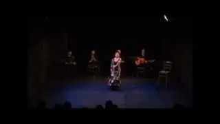 Noche de Flamenco 15  Juli 2012
