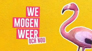 Partymingo - We Mogen Weer (Och Nou)