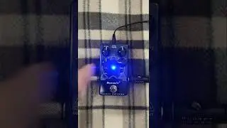 ALPHA OMICRON DemonFX. Darkglass Electronics clone. #shorts