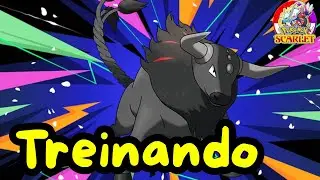 Pok&eacute;mon Scarlet -  Treinando e fortalecendo Pok&eacute;mon
