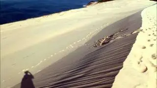 J'ai march&eacute; sur la Dune