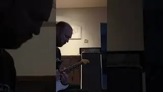 AMP SERIES | Echolette Showstar S40 w/ S45 Dynacord Cabinet