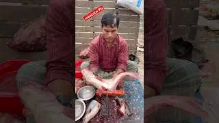 Excellent Village Pangas fish cutting Skills 2026 ✅🐬✅ #shorts