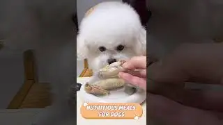 Nutritious meals for dogs#Dog#Diet#Meal#Prayer#Chicken wings#Delicious#Mummy#Respect#Nature#Care#