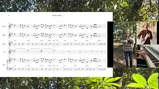 Inisheer Waltz (Irish/Celtic Arrangements 2/3)
