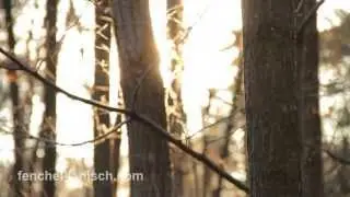 Pentax K-5 short film: Dawn of Nature