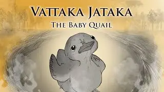 The Baby Quail | Vattaka Jataka | Animated Buddhist Stories