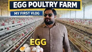 My first poultry farm vlog 🐔! Talwariya poultry farm /complete details video 🥚🚀
