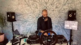 Melodisches Treiben No.11 mit Boss Axis (Marcel)