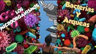 Microbiología (Parte I) - Introducción a la microbiología. Bacterias y Arqueas
