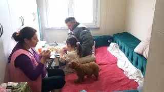 REŞİT KENDİN SÖYLE KENDİN İŞİTE SİPARİŞLER VERDİM 