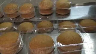 CT 600D bunny cup cake packing machine