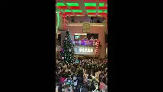 Spectrum of the Seas - Lighting of Xmas Tree & Snow Over Royal Esplanade
