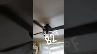 It's Fan Season!!!!!!