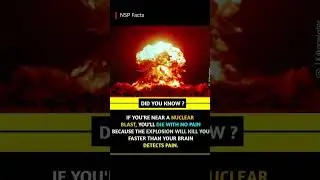 What Happens If You're Near a Nuclear Blast? | Shocking Fact You Didn't Know | #most viewed video
