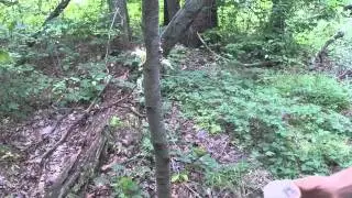 Stone Hand Axe