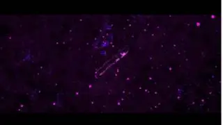 New Template ╰BlenderWorks