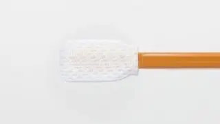 Texwipe TX801 Swab