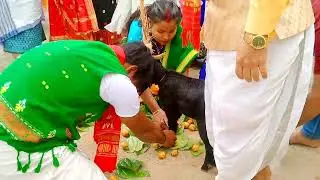 karbi dehal Puja। dehal than guwahati Assam