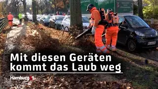 20.000 Tonnen Laub in Hamburg: Die Stadtreinigung r&auml;umt auf