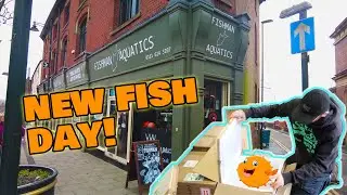 Fishman Aquatics store tour - Aquarium fish unboxing