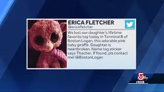 Search for stuffed animal in Boston airport goes viral